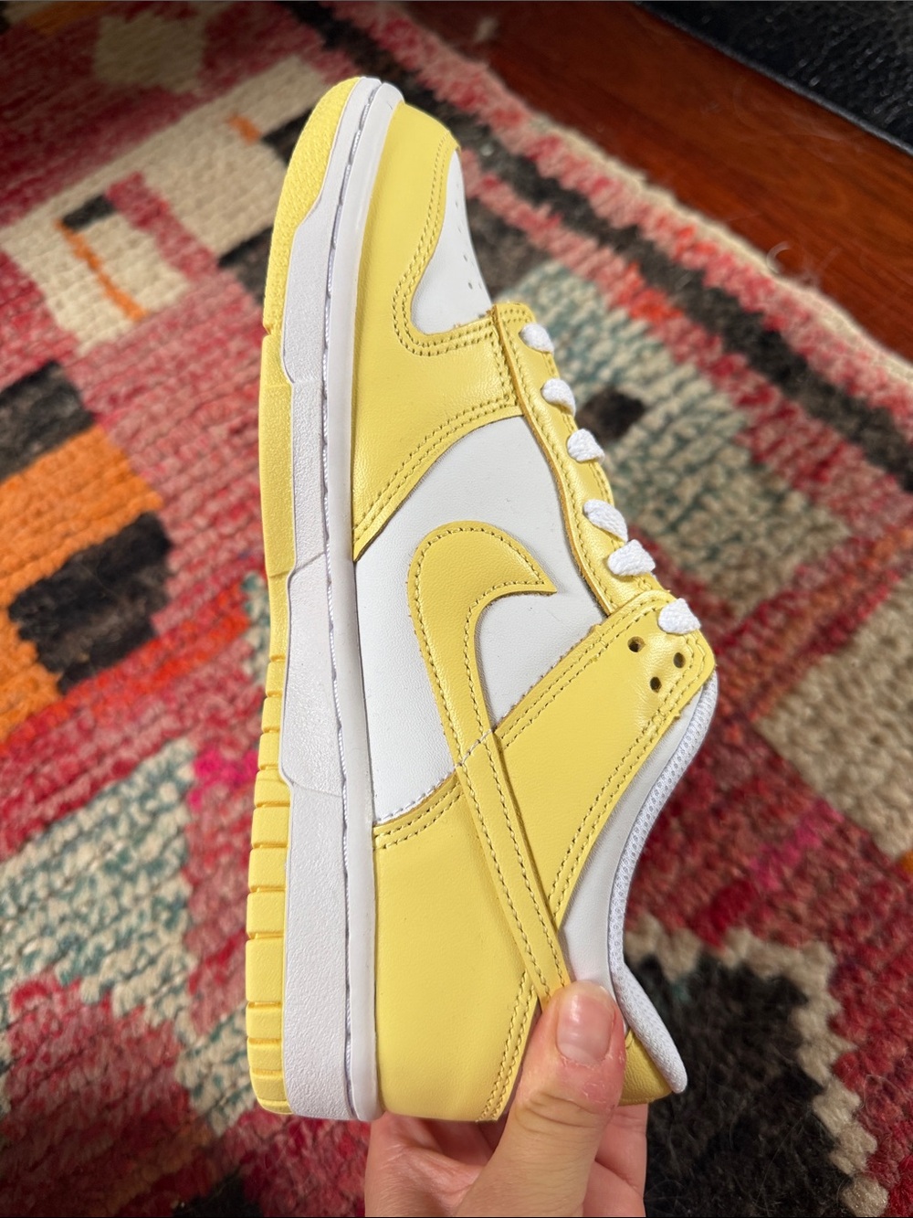 Nike Dunk Low Kid Shoes